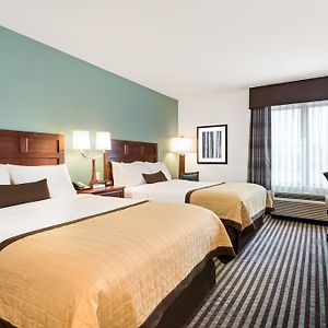 Double Room Two Double Beds Non-Smoking